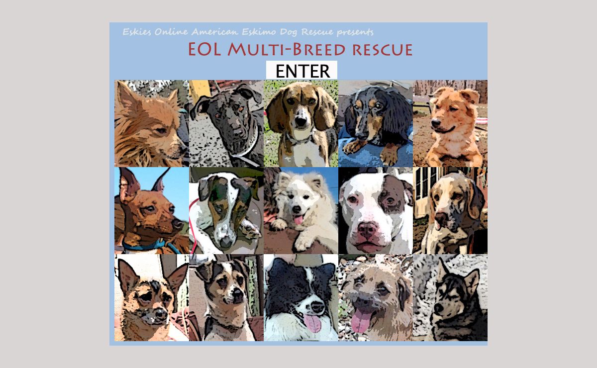 Eskies Online American Eskimo Dog Rescue Presents: EOL Multi-Breed Rescue