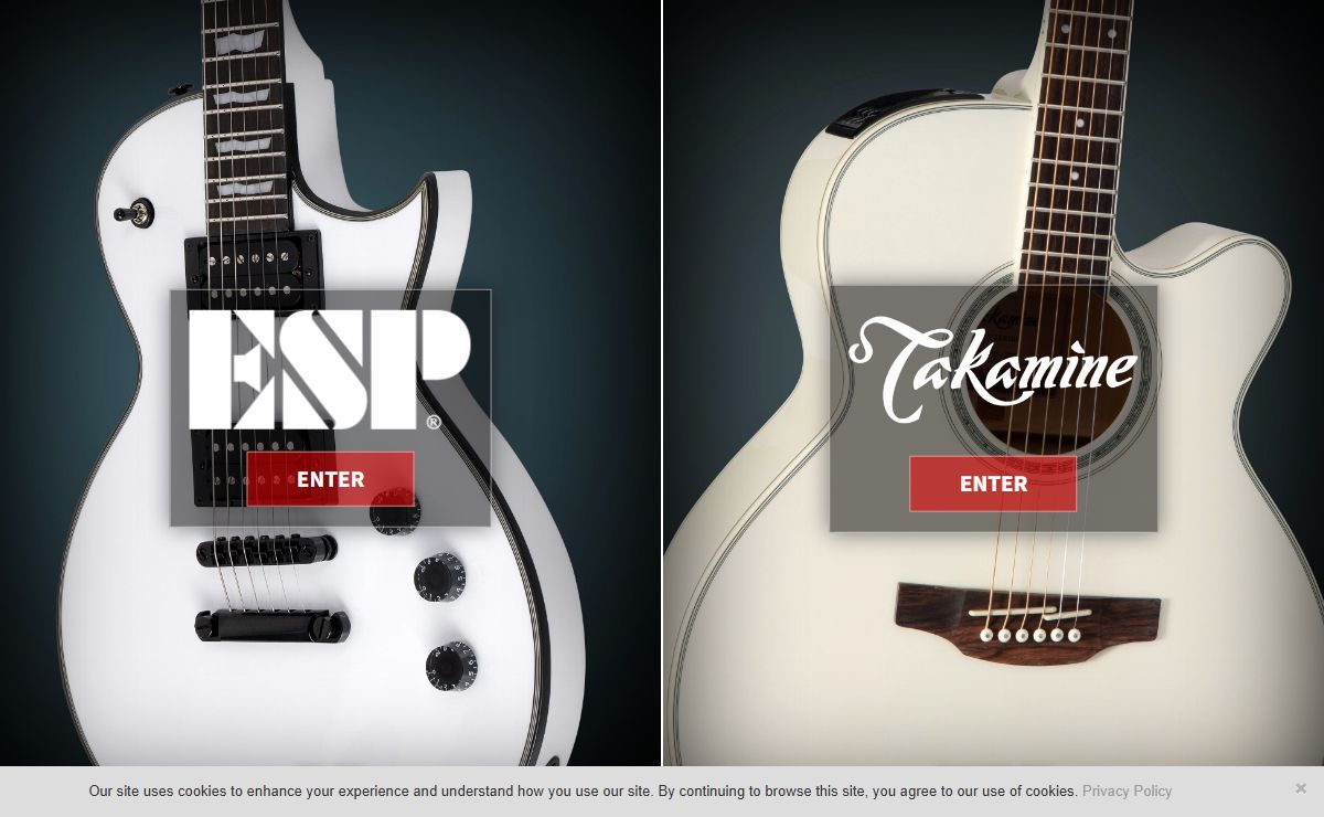 The ESP Guitar Company