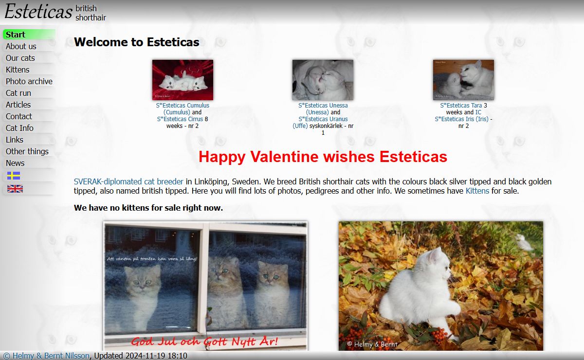 Welcome to Esteticas - S*Esteticas British shorthairs
