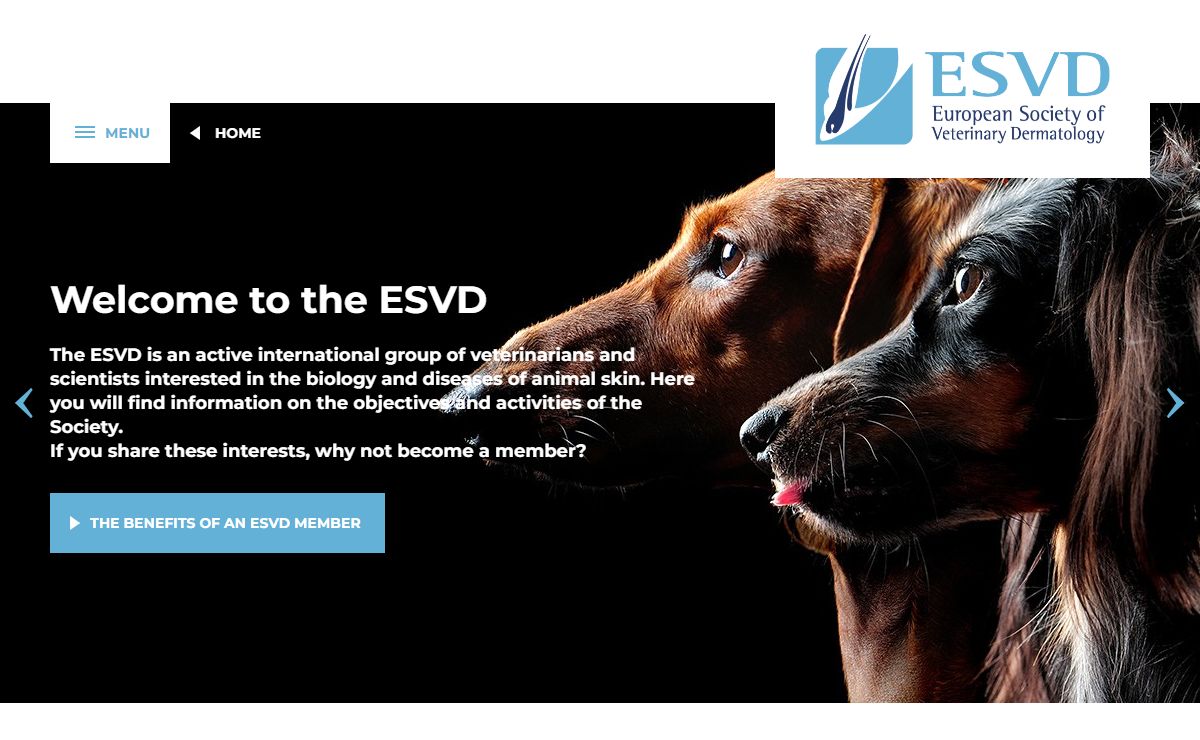 ESVD | European Society of Veterinary Dermatology | ESVD - European Society of Veterinary Dermatology