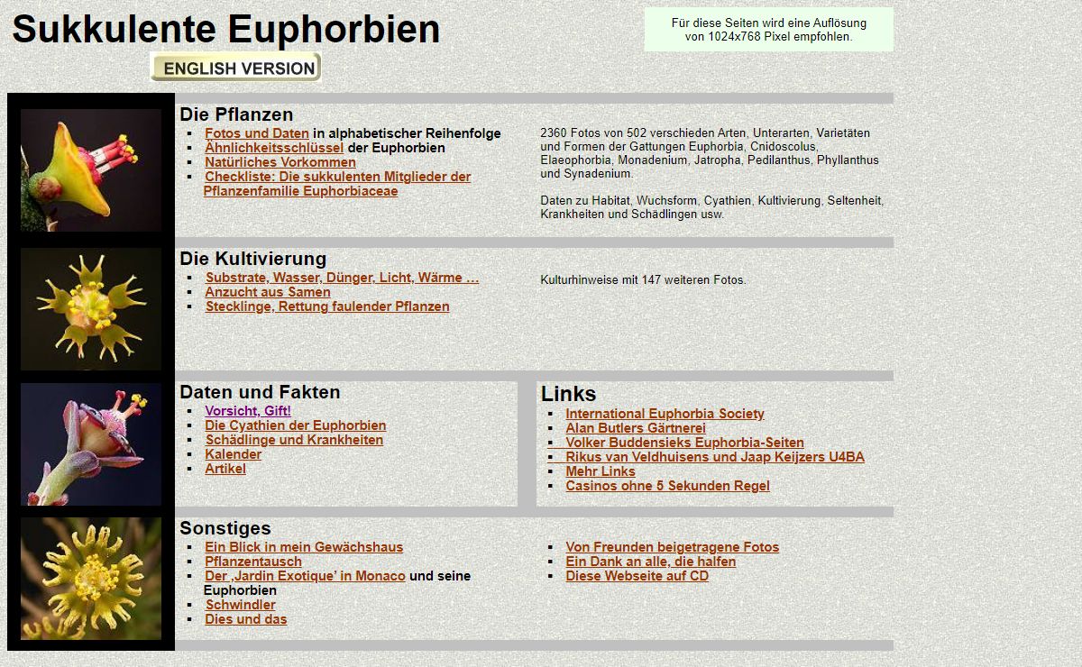 Sukkulente Euphorbien