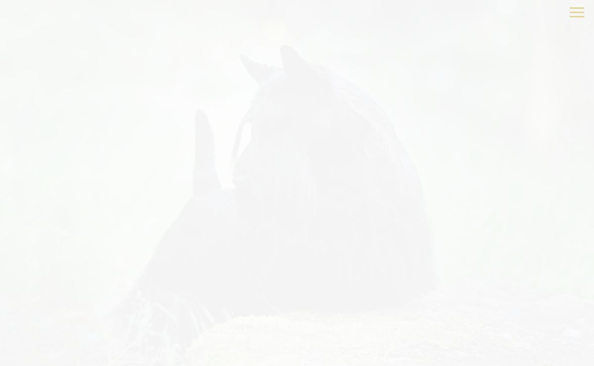Euri-escot, scottish terriers