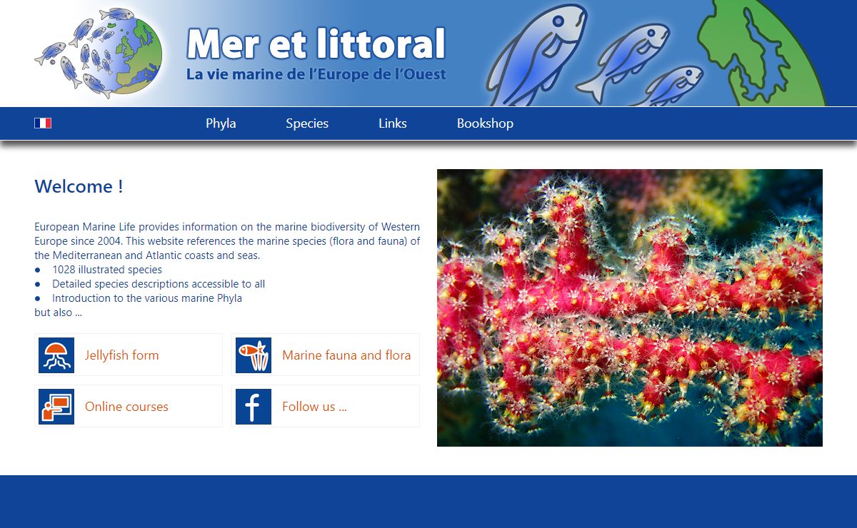 European Marine Life - Marine life of Western Europe