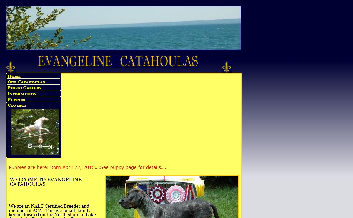 Evangeline Catahoulas