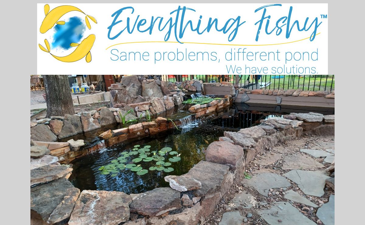 Everything Fishy: Fort Worth Pond Service Since 1999, Pond plants, Lotus.