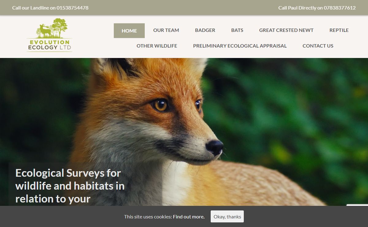 Ecological, Bat & Bird Surveys for Development Projects, Staffordshire, UK