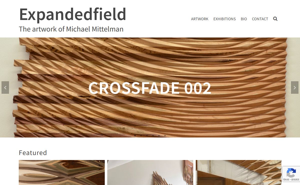 Expandedfield – The artwork of Michael Mittelman