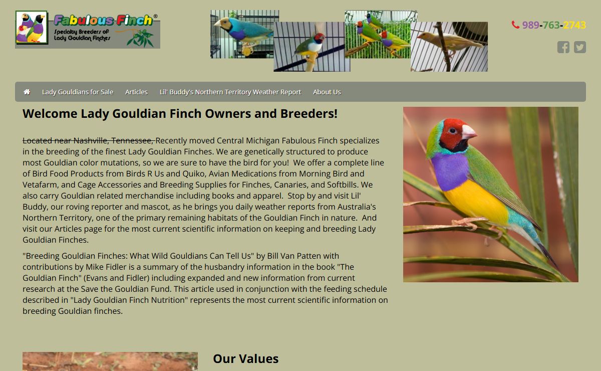 Fabulous Finch