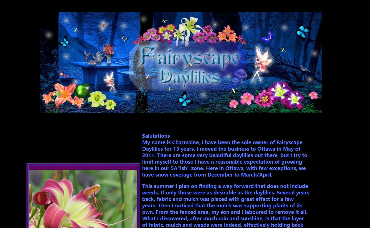 Fairyscape Daylilies