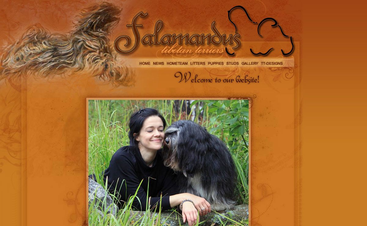 Falamandus tibetan terriers