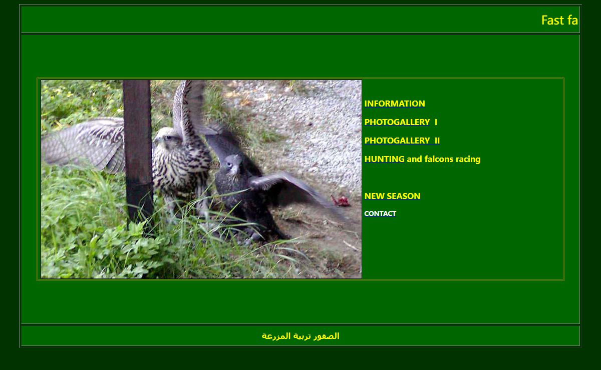 Breeding and sale falcons