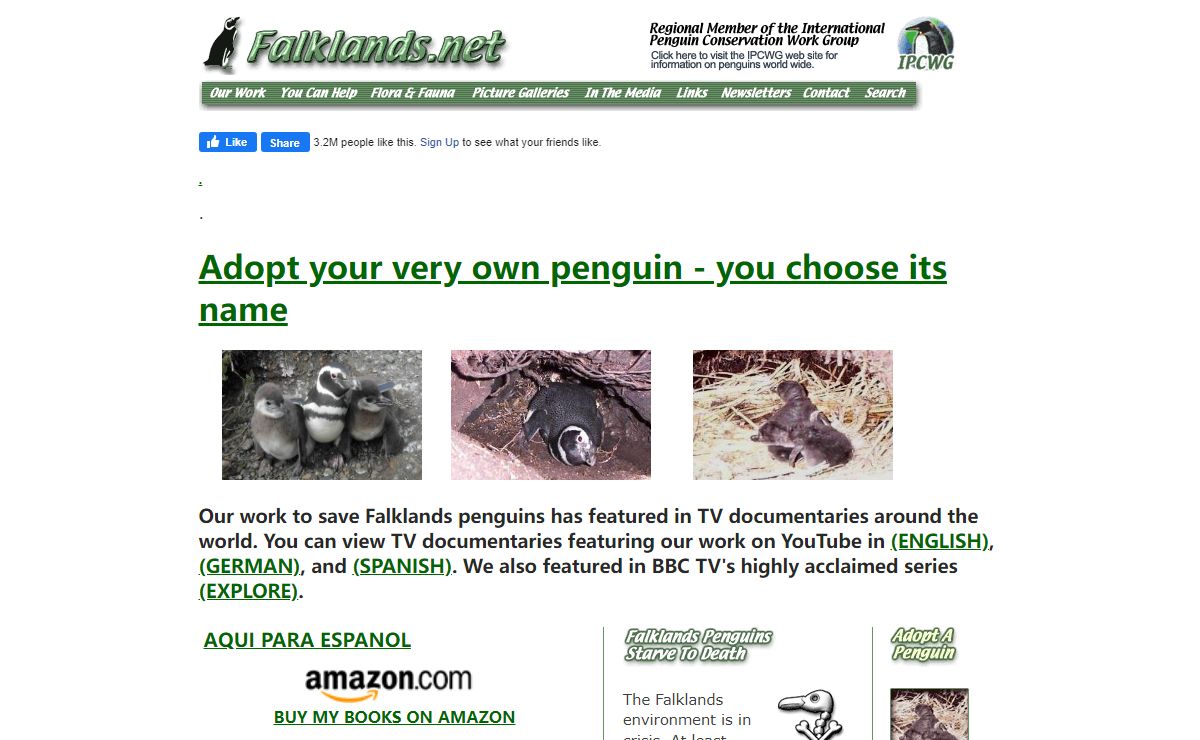 Falklands penguins and wildlife - Falkland Islands penguins and wildlife