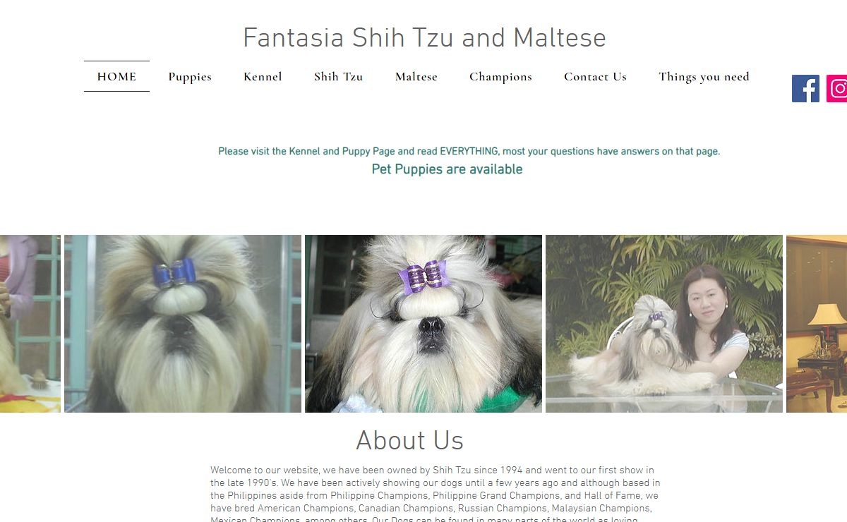 Fantasia Shih Tzu and Maltese, Champion dogs Philippines
