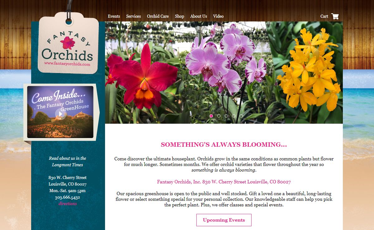 Fantasy Orchids