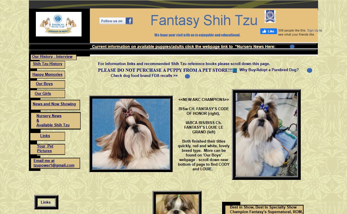 Fantasy Shih Tzu
