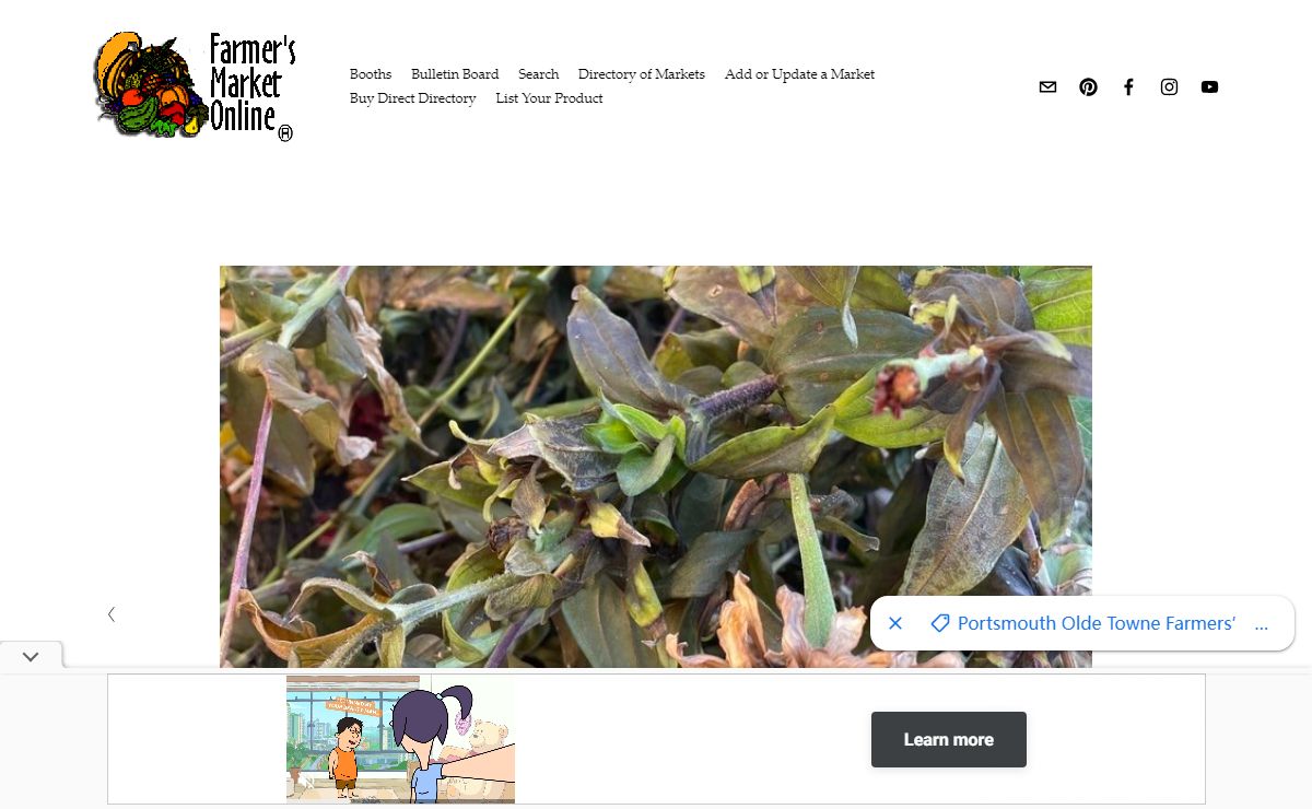 Farmer's Market Online