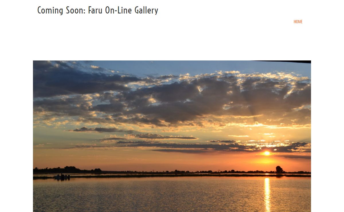 Home | Coming Soon: Faru On-line Gallery