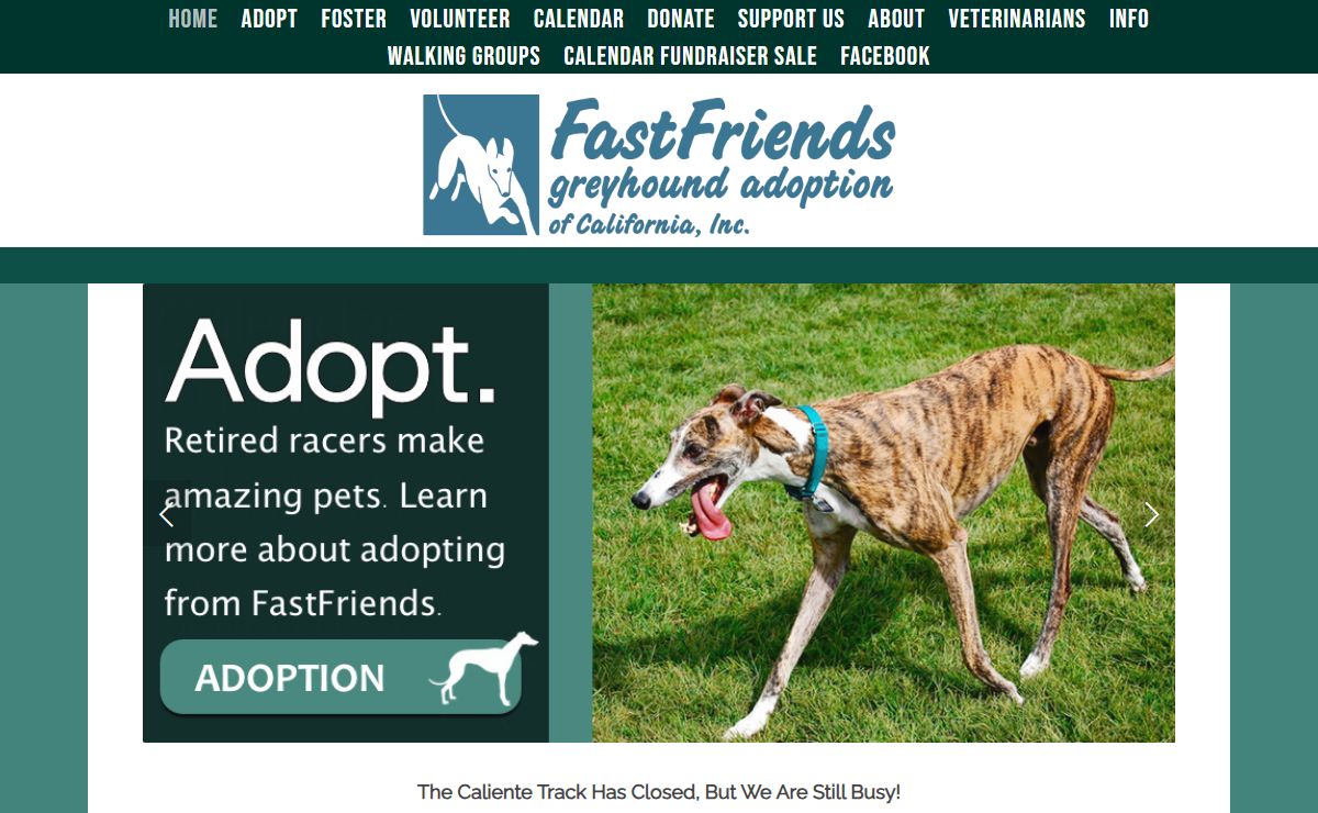 FastFriends