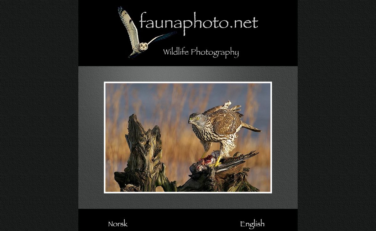 Faunaphoto
