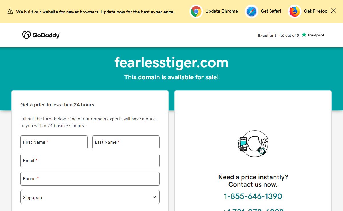 fearlesstiger.com