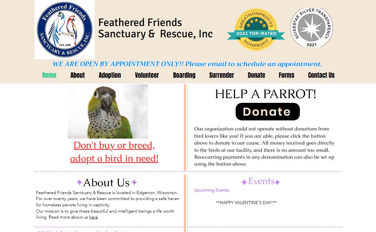 Home | Feathered Friends Sanctuary and Rescue | Parrot Rescue | Edgerton, WI