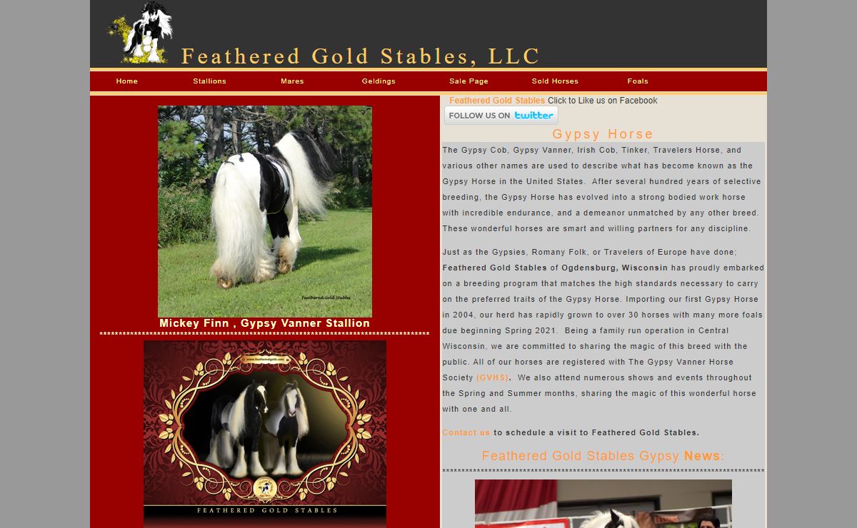 Gypsy Horse, Gypsy Vanner Horses of Feathered Gold Stables