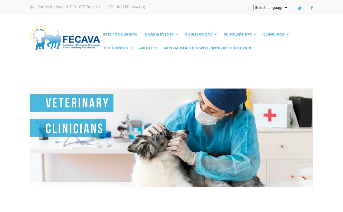 HOME - FECAVA