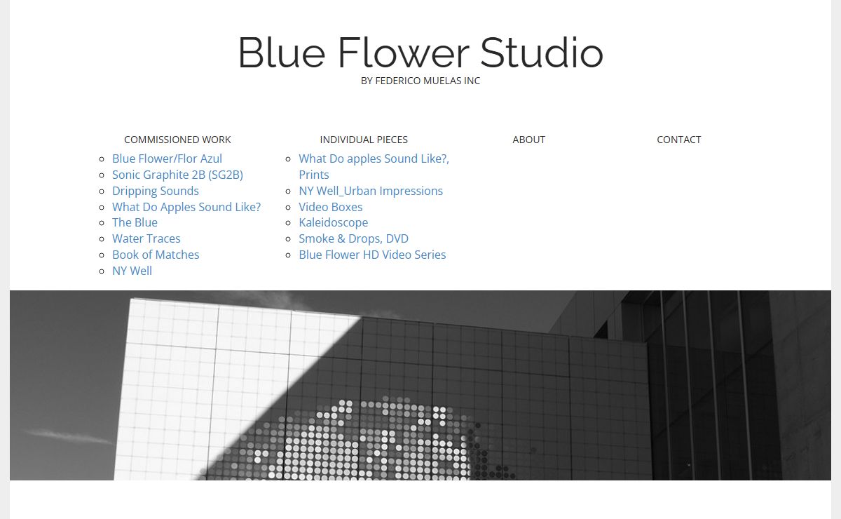 Blue Flower Studio – BY FEDERICO MUELAS INC