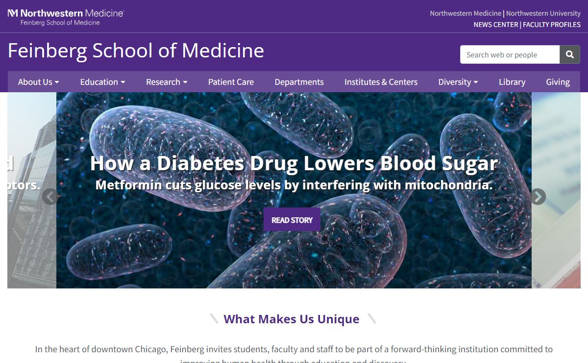 Feinberg School of Medicine: Feinberg School of Medicine