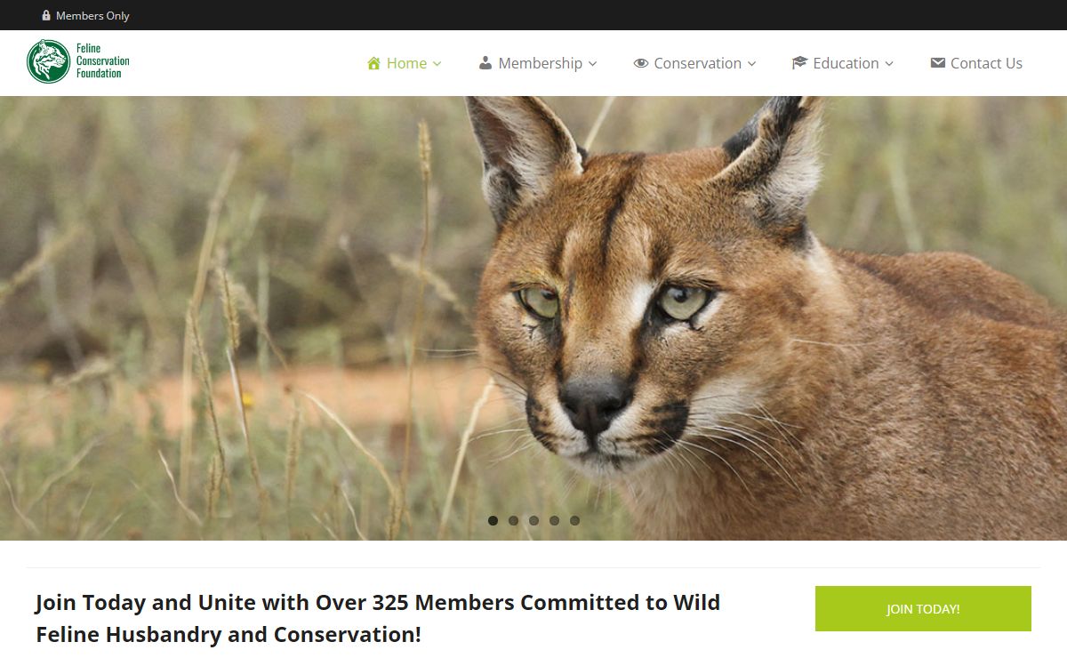 Feline Conservation Foundation