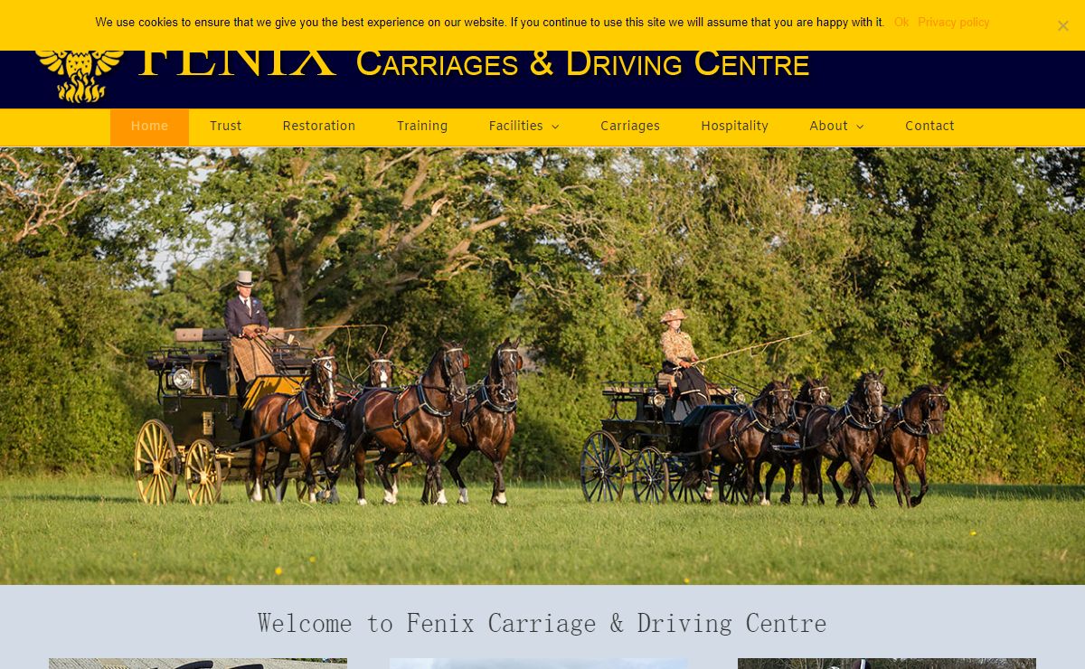 Home - Fenix Carriages