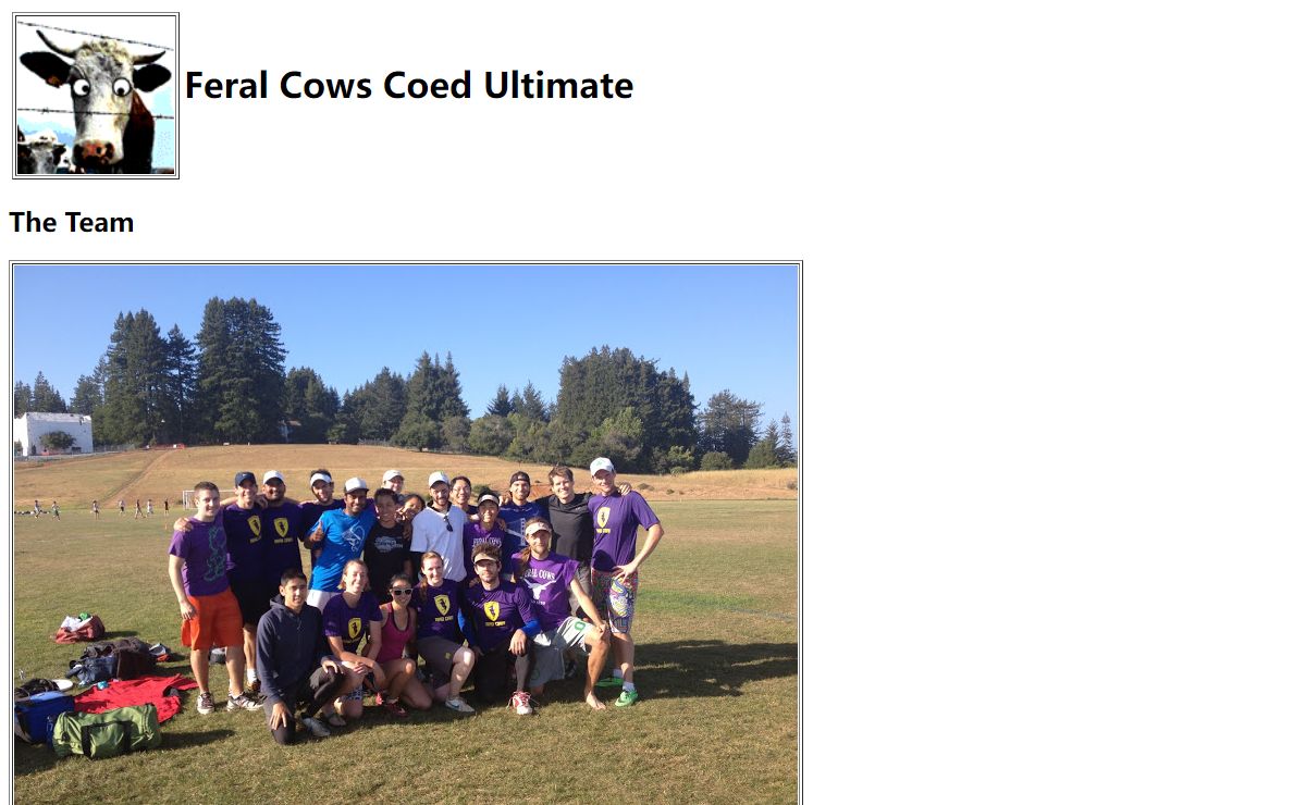 Feral Cows Coed Ultimate