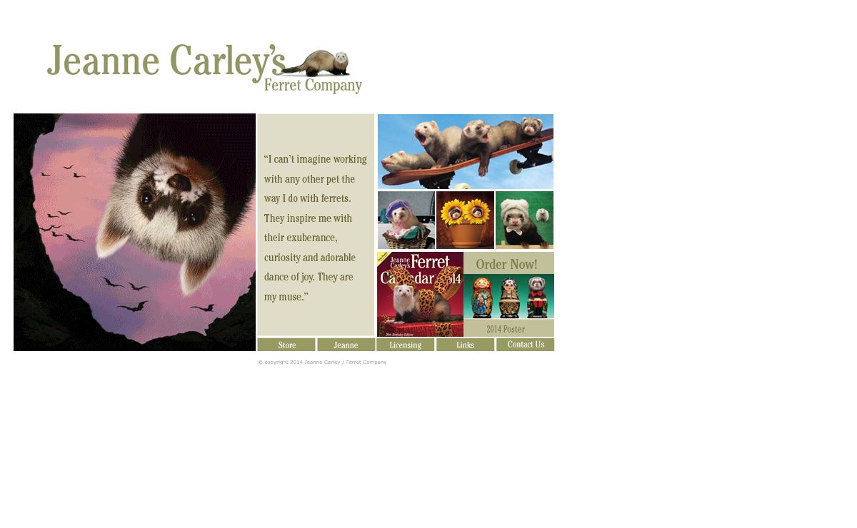 The Ferret Company