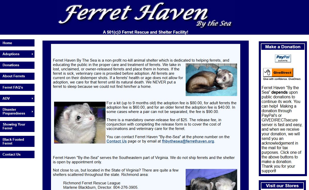 Ferret Haven by the Sea