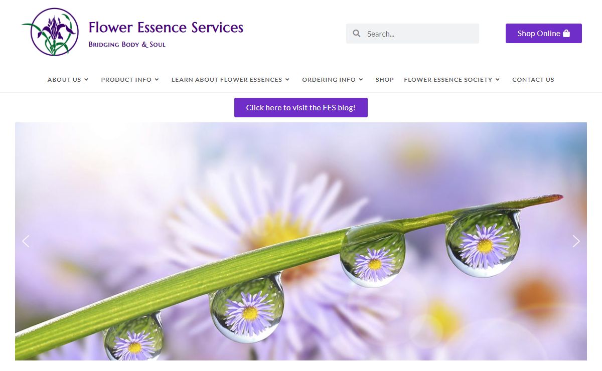 Flower Essence Services – Bridging Body & Soul