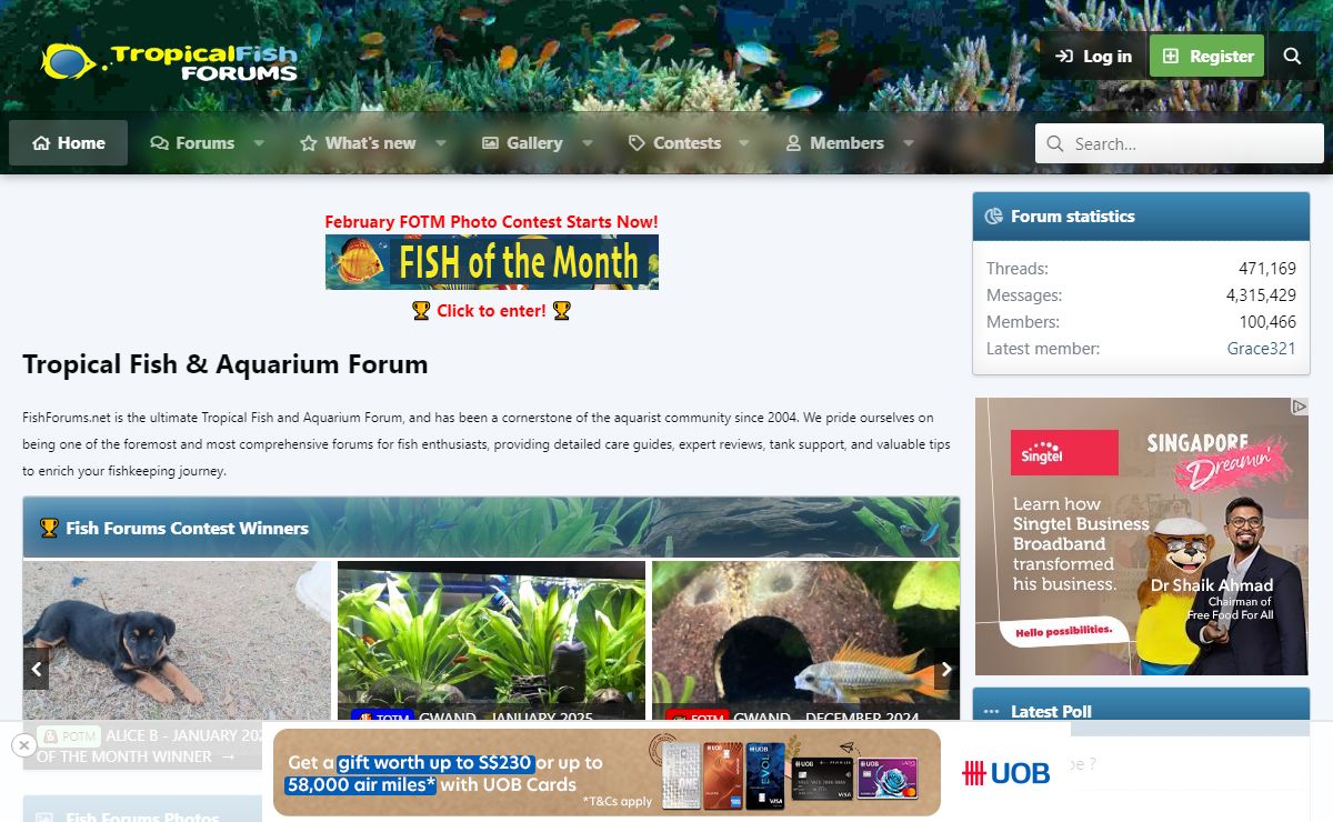 Tropical Fish and Aquarium Forum | Fish Forum