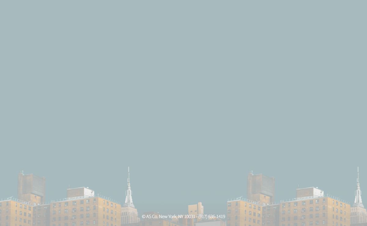 Araya Solutions Corporation - New York