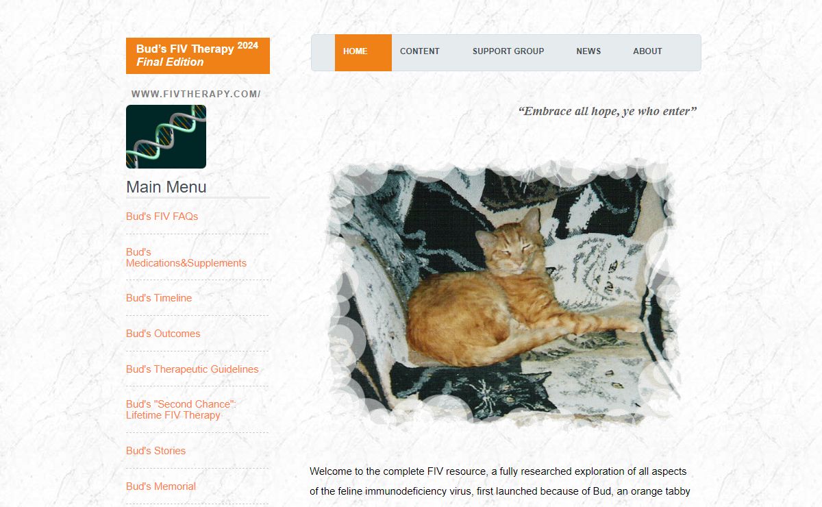 Experimental and Established FIV Therapy