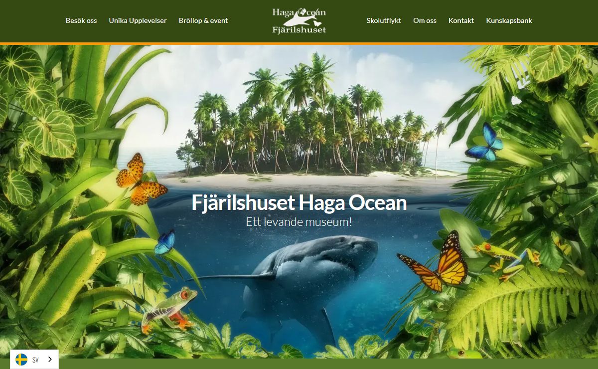 Fjärilshuset Haga Ocean | Upplev en magisk värld