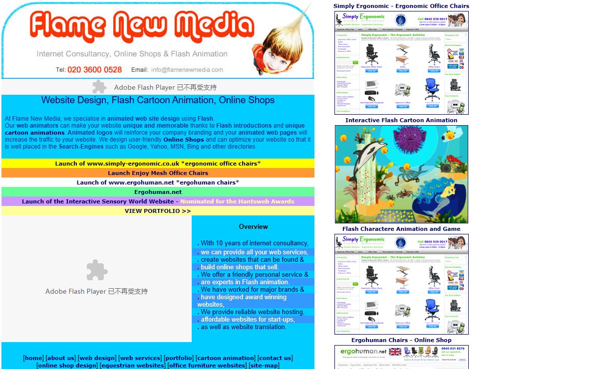 Flash Website Design, Flash animations, cartoon animation and online shops