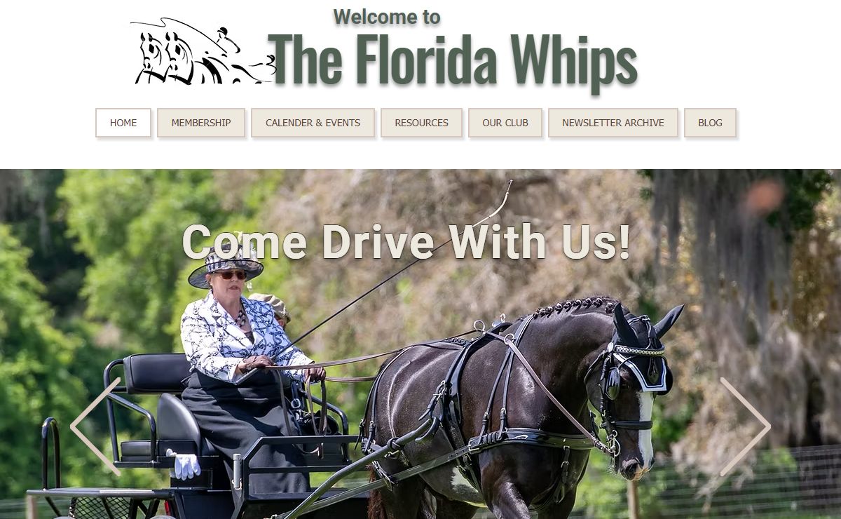 Carriage Driving Club | Florida Whips