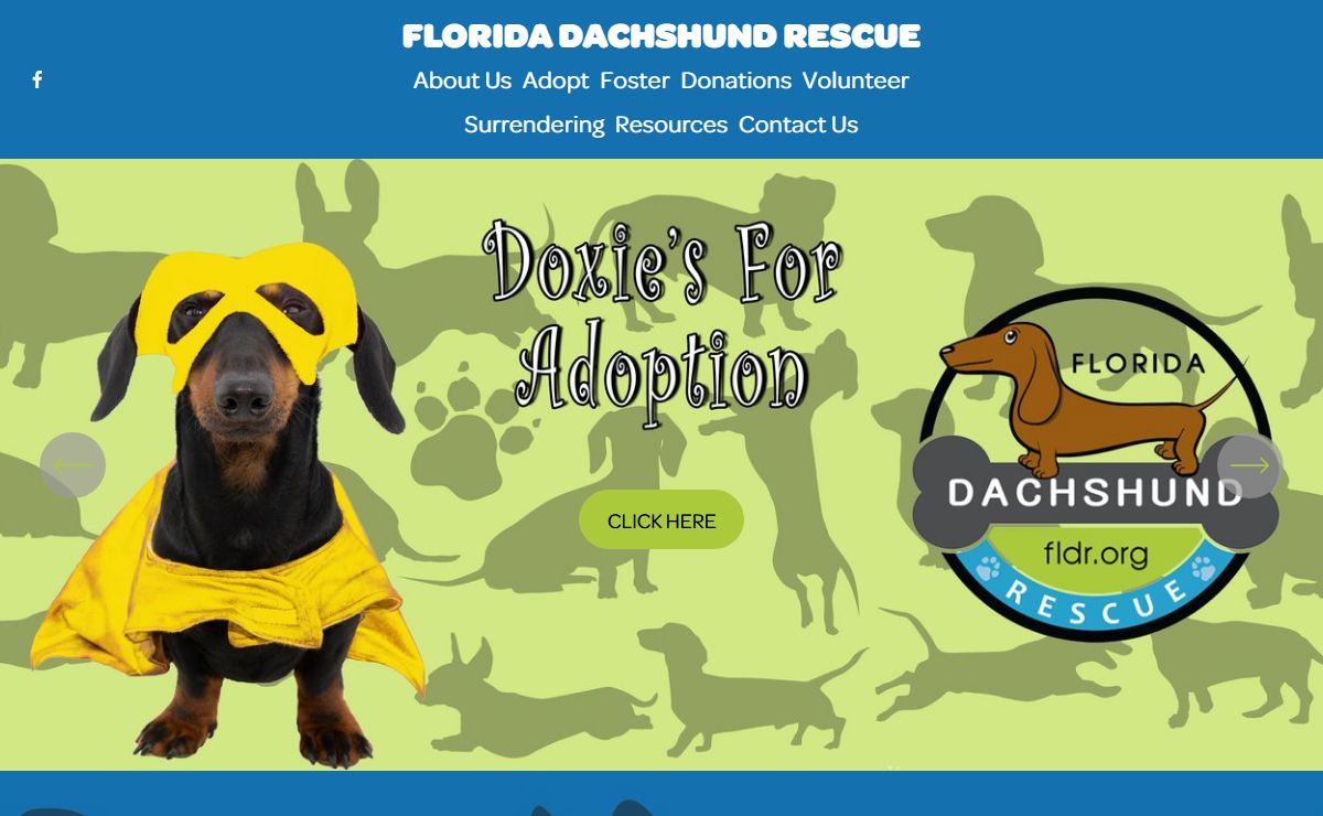 Florida Dachshund Rescue, Inc.