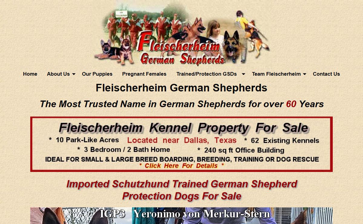 Fleischerheim Imported German Shepherd Trained Dogs