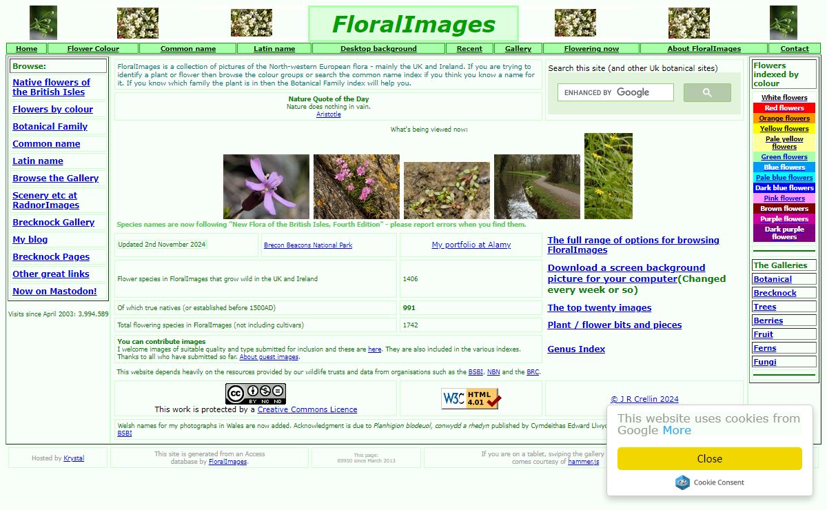 FloralImages - a botanical reference for the UK flora