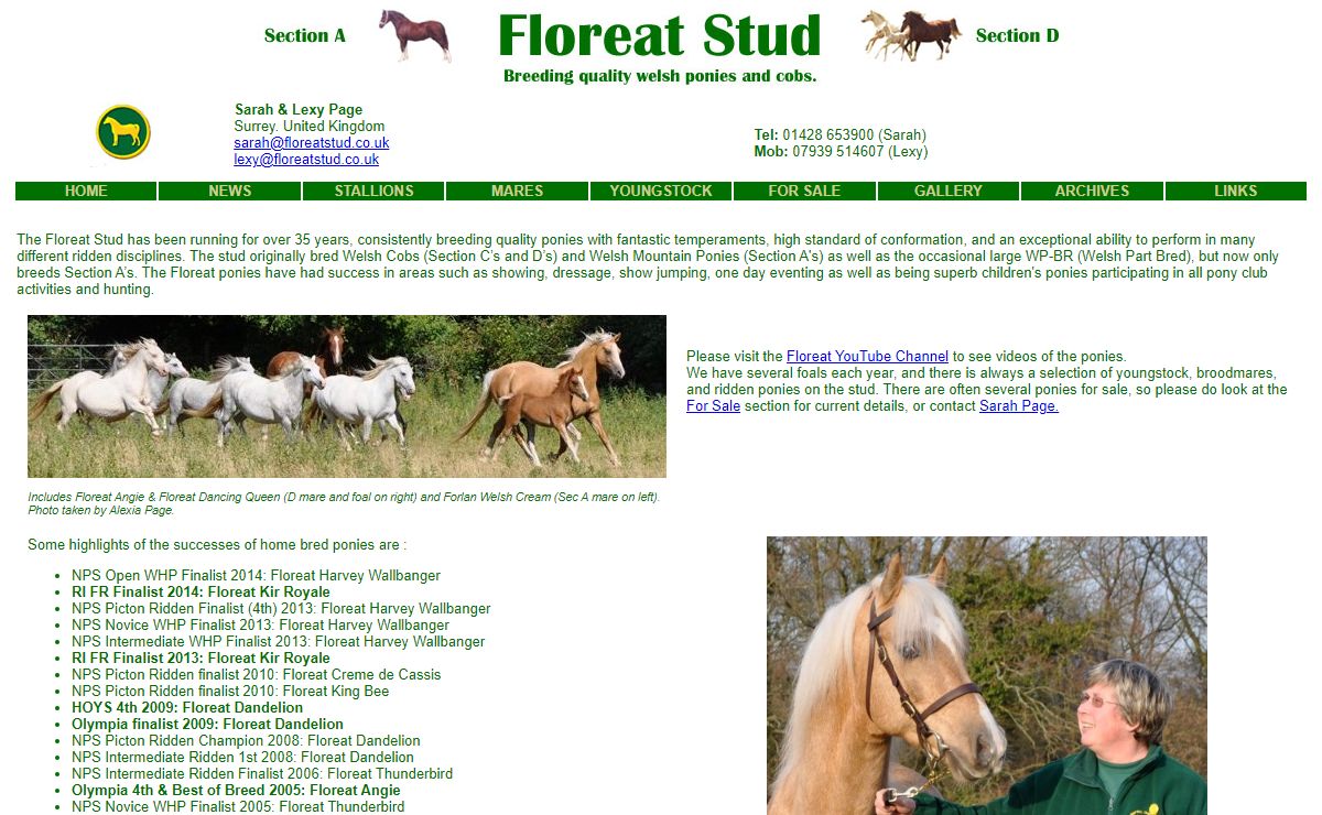 Floreat Stud: Welsh Cobs and Ponies