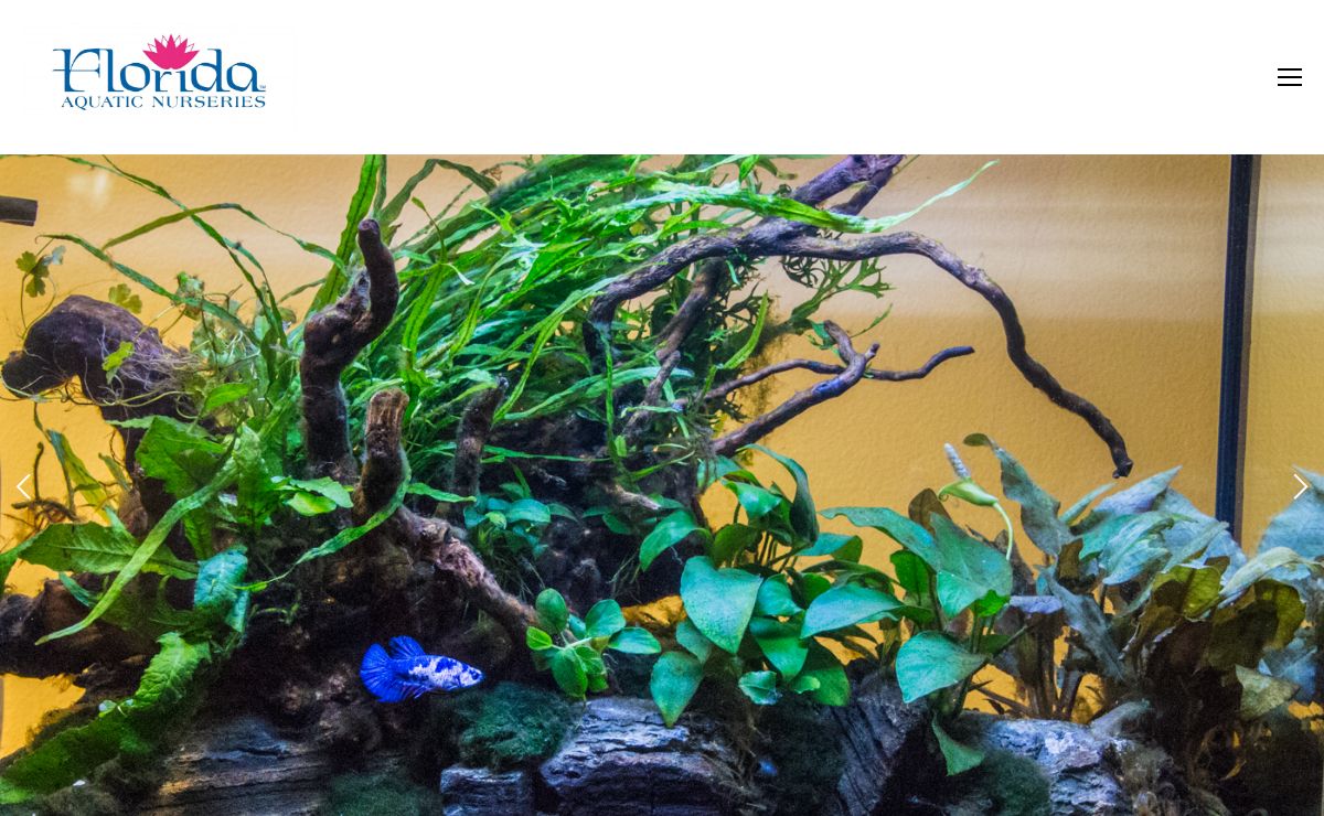 Florida Aquatic Nurseries