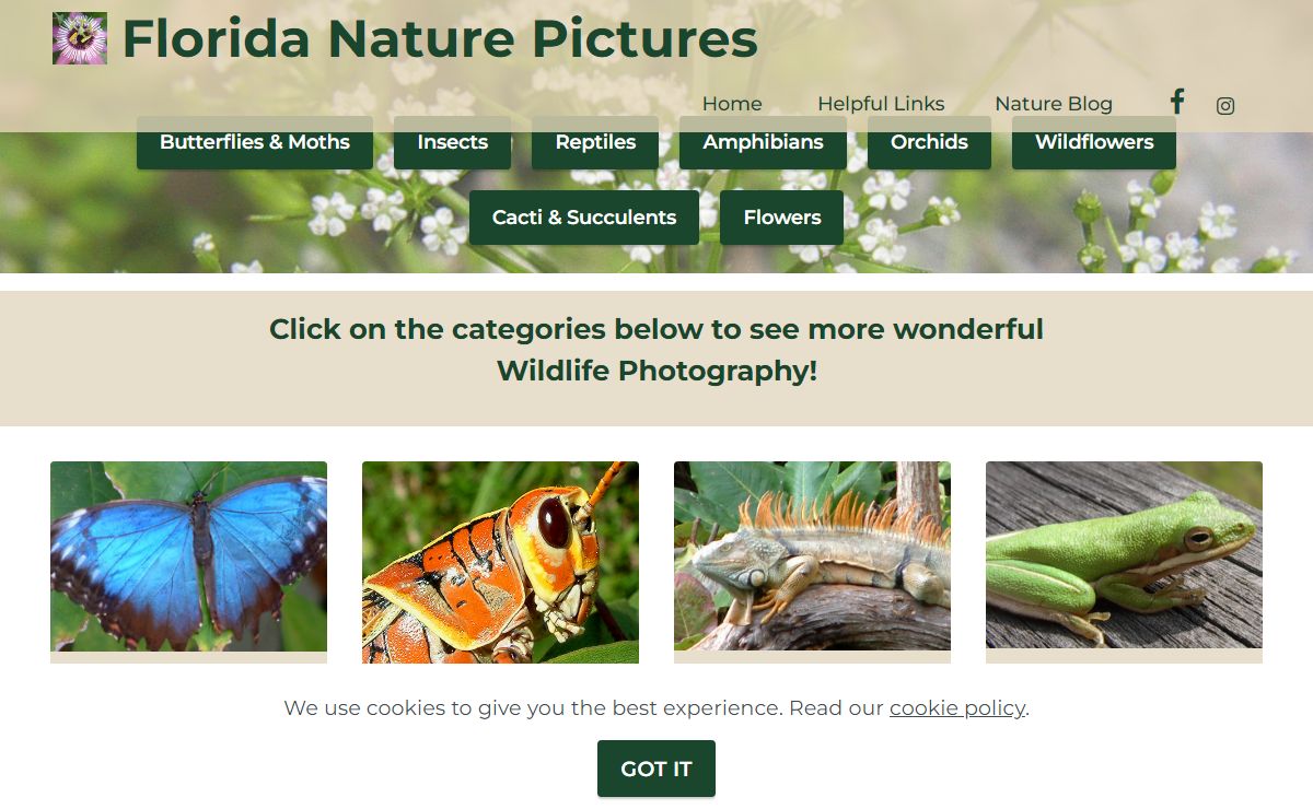 Digital Wildlife Florida Nature Photography