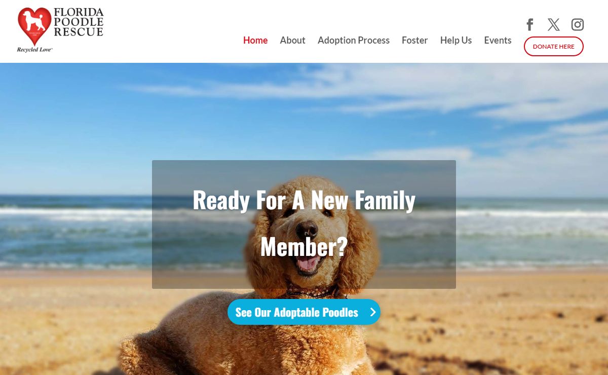Florida Poodle Rescue | Home - Recycled Love