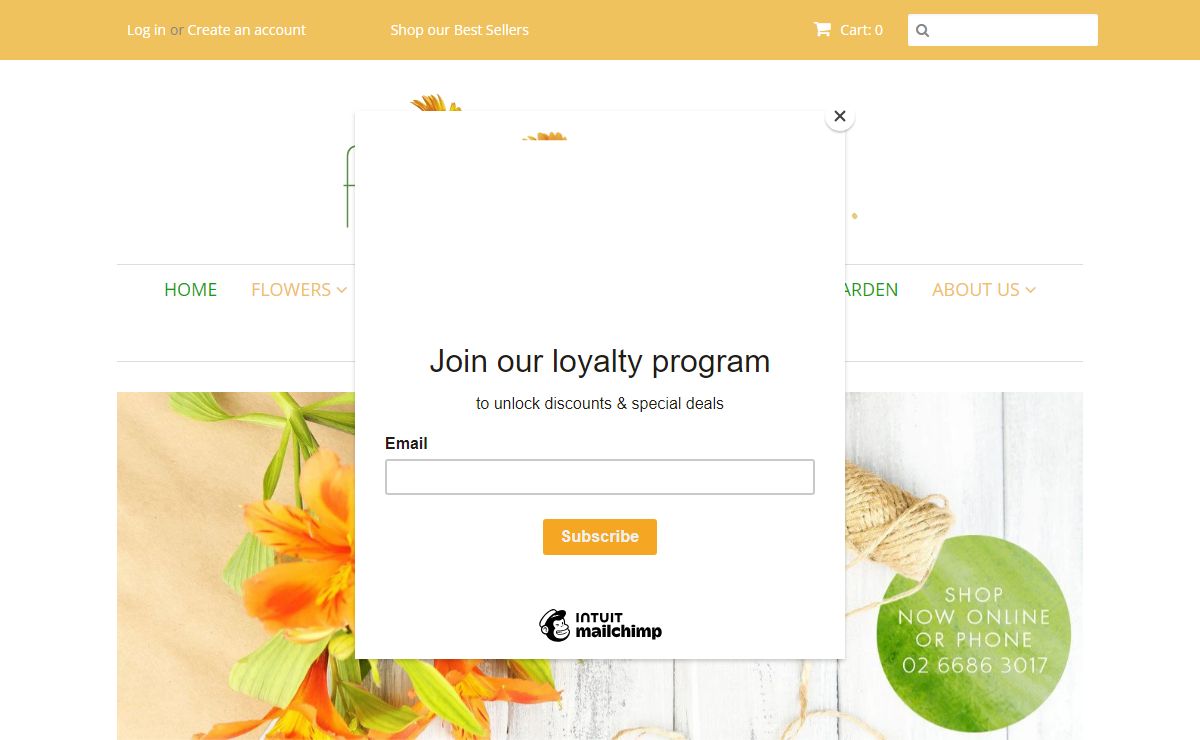 Ballina & Byron Bay Florist | Australian Wildflowers | Flowers In Paradise