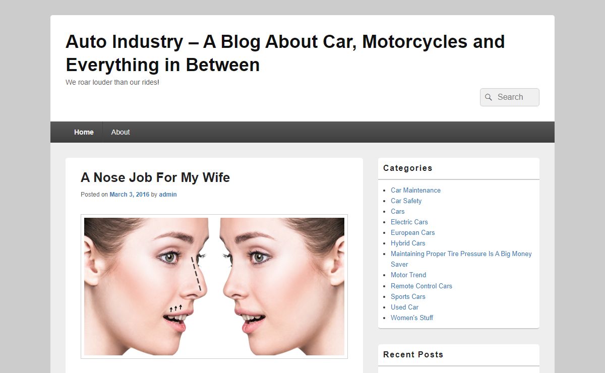 Auto Industry – A Blog About Car, Motorcycles and Everything in Between – We roar louder than our rides!